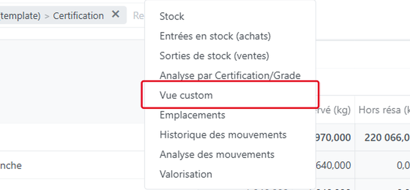 Choisissez Vue custom : l'écran s'intitule Analyse Stock Produits