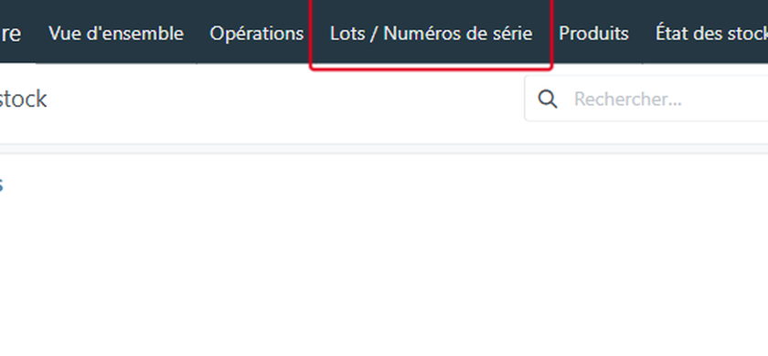 Cliquez sur Lots / Numéros de série dans la barre du haut