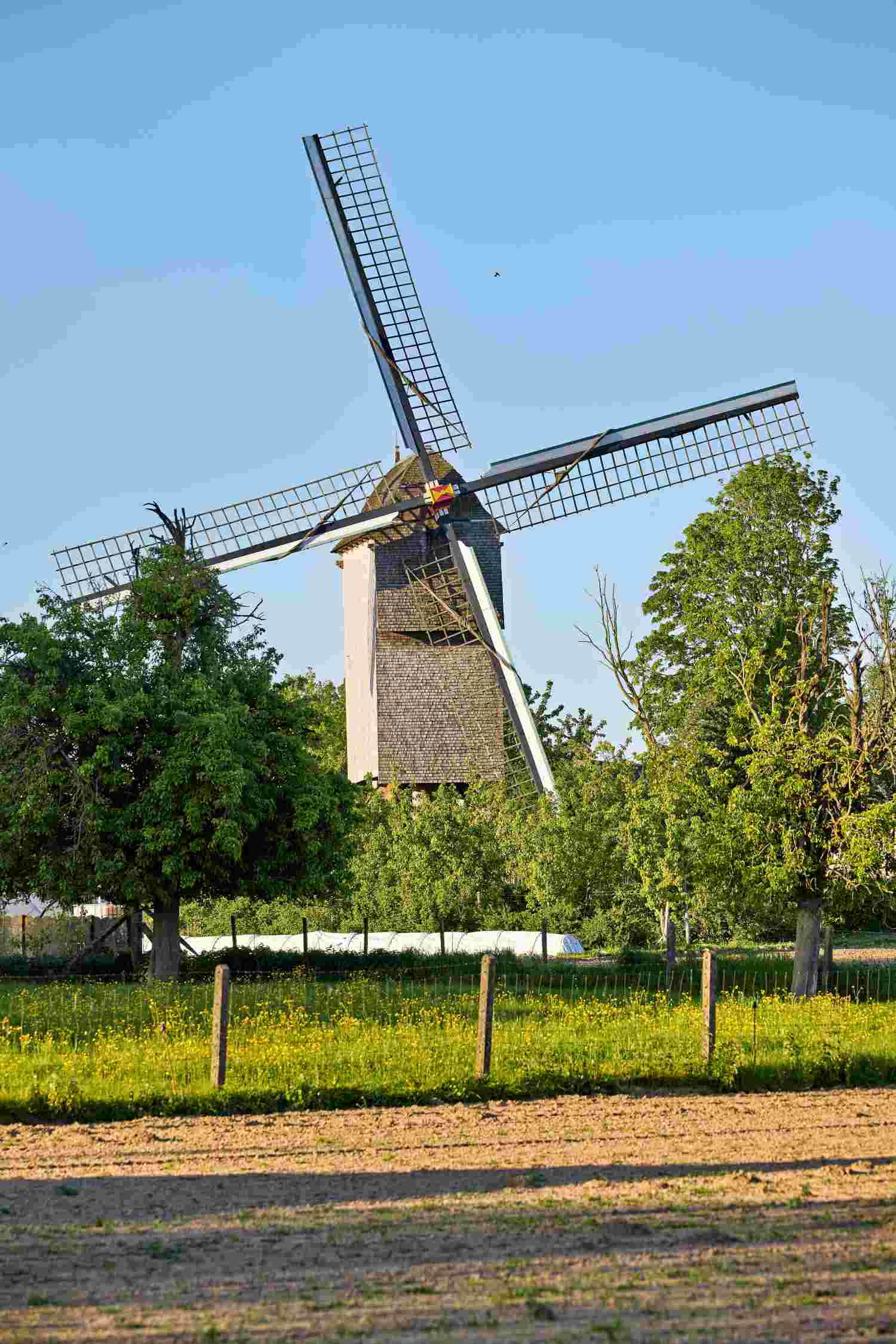 Moulin et champ