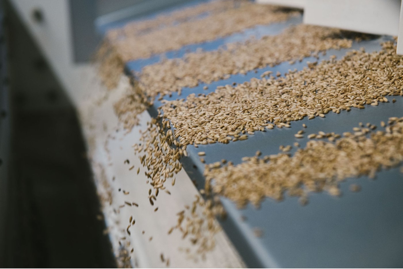 Tapis de graines, filières agricoles responsables